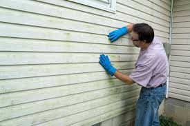 Affordable Siding Repair and Maintenance Services in Vail, AZ